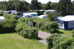 Rødvig Camping - Camper auf dem Gehweg vom Campingplatz im Grünen