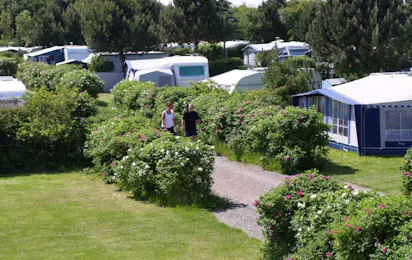 Feriebyens Camping