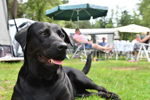 Vakantiepark Ommerland - Hunde willkommen auf dem Campingplatz