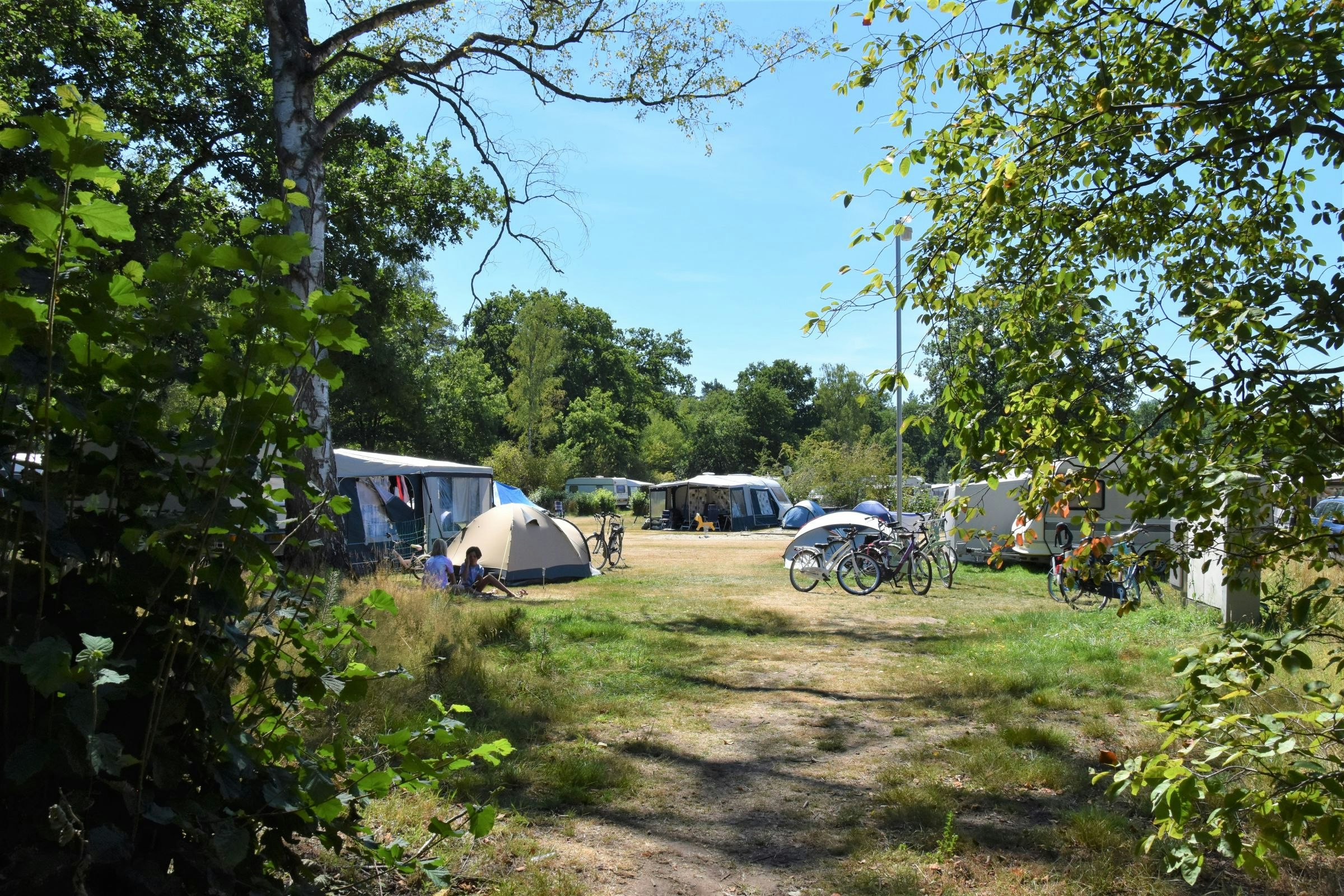 Vakantiepark Ommerland - Standplätze auf dem Campingplatz
