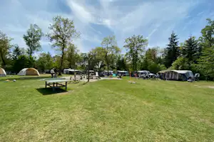 Recreatiepark De Paalberg - Standplätze auf dem Campingplatz