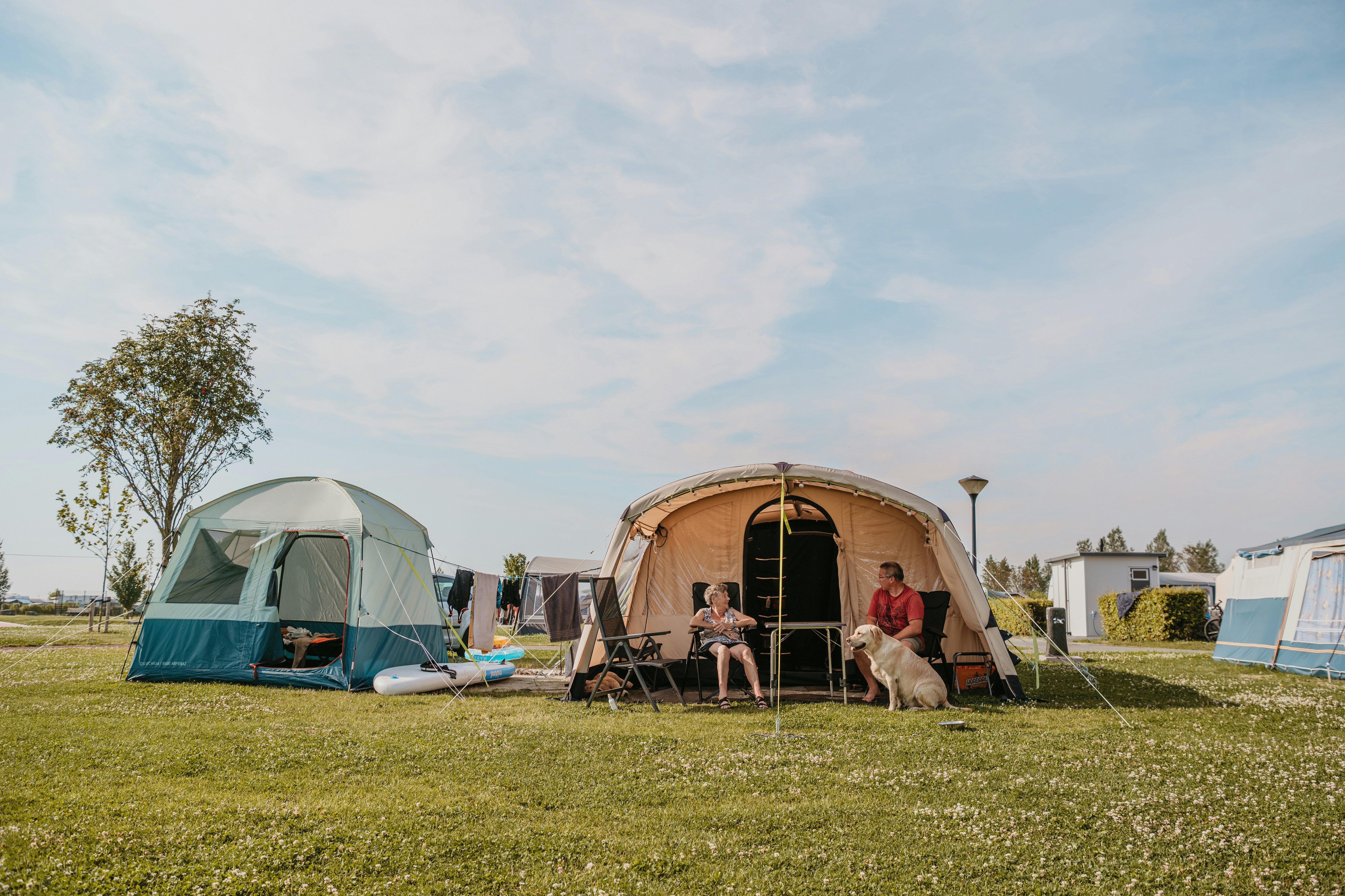 Recreatiecentrum De Vogel - Standplatzwiese auf dem Campingplatz
