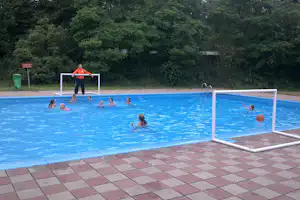 Recreatiecentrum De Witte Wieven - Pool auf dem Campingplatz