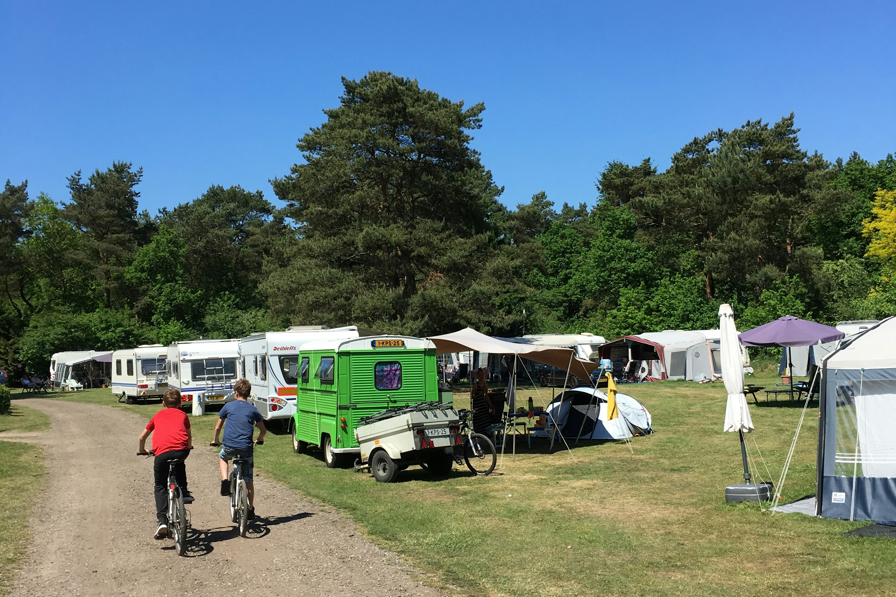 Recreatiecentrum De Witte Wieven - Wohnmobil- und Wohnwagenstandplätze auf der Wiese
