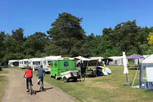 Recreatiecentrum De Witte Wieven - Wohnmobil- und Wohnwagenstandplätze auf der Wiese