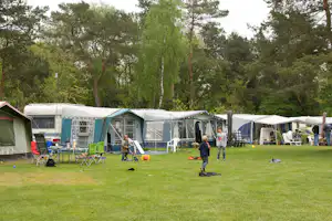 Recreatiecentrum De Witte Wieven - Wohnmobil- und Wohnwagenstandplätze auf der Wiese
