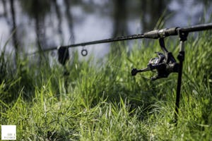 Camping Kempenheuvel