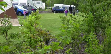 Camping Kempenheuvel