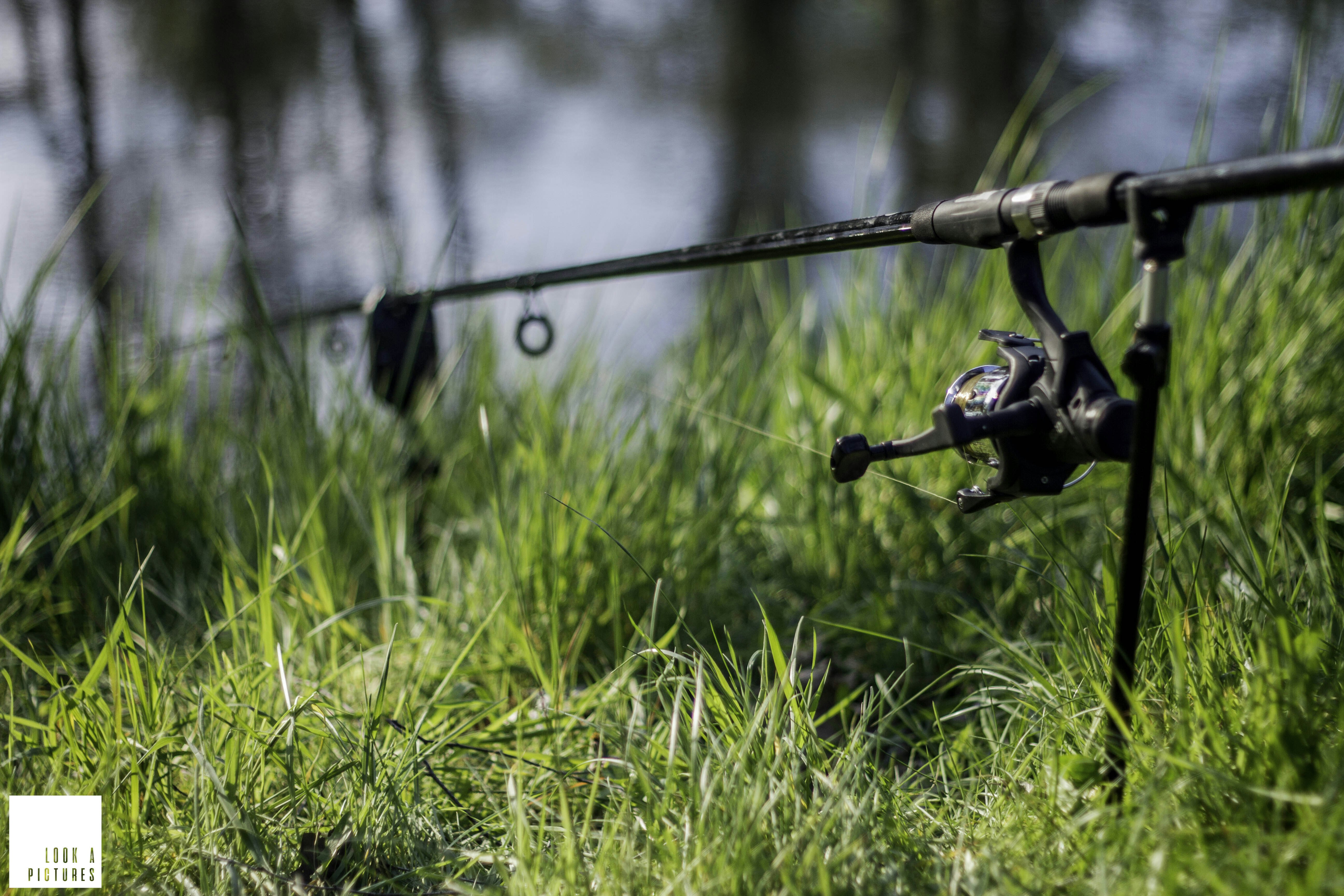 Camping Kempenheuvel