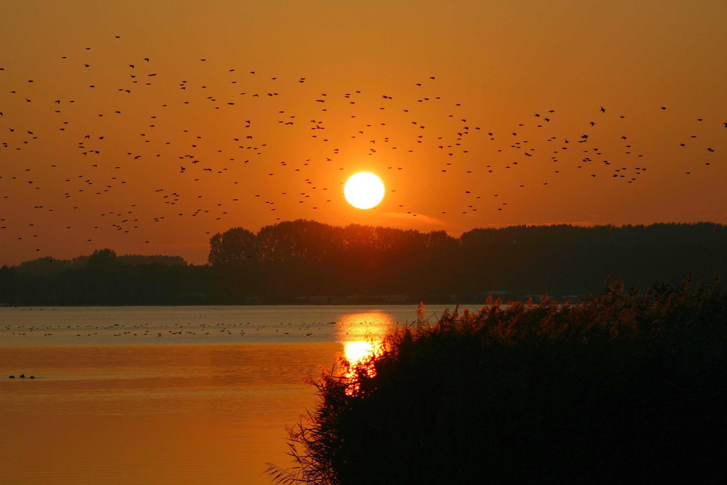 Recreatieoord Veluwe Strandbad