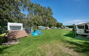 Recreatieoord Veluwe Strandbad - Standplätze auf der Wiese auf dem Campingplatz