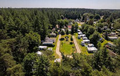 Camping Boslust