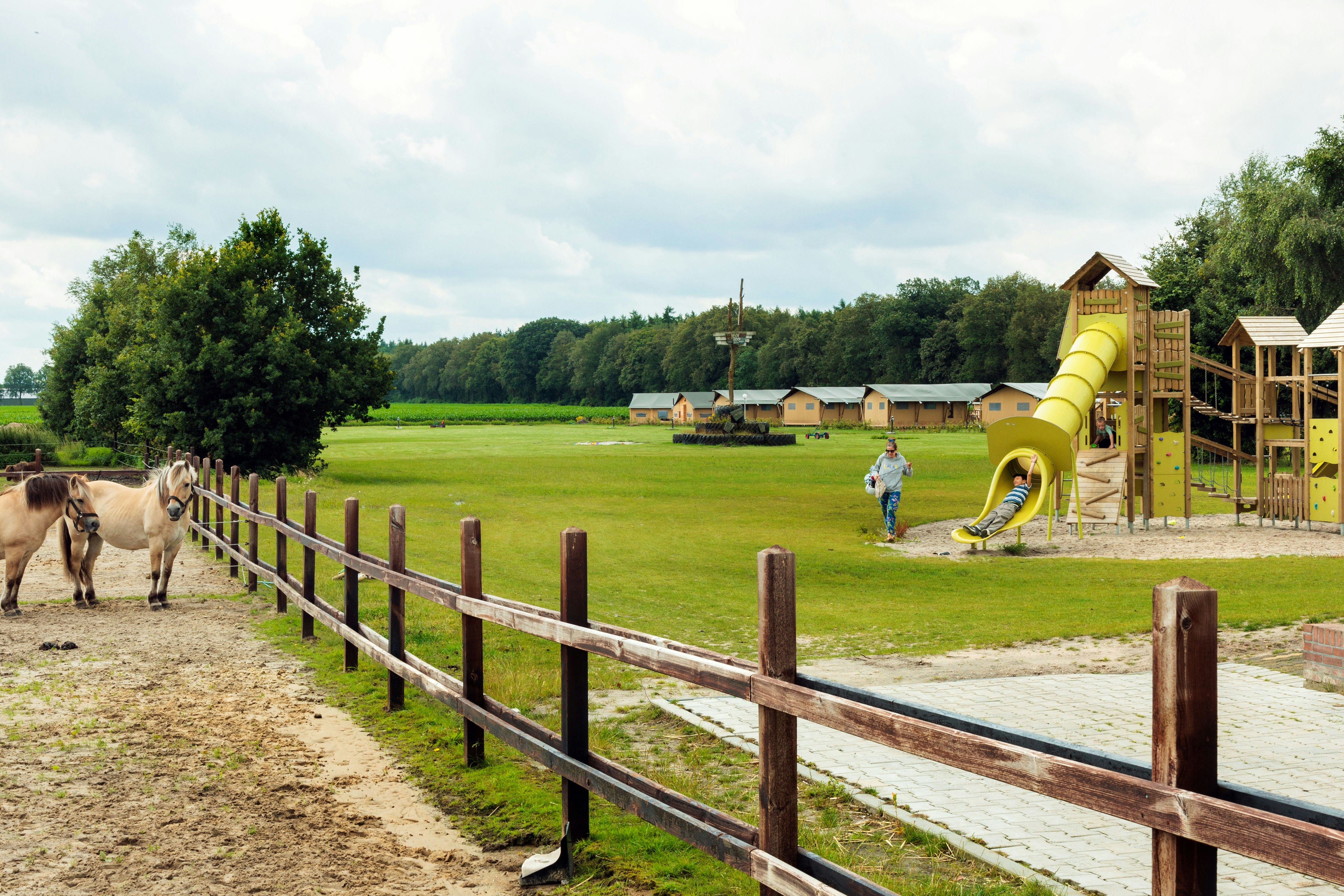 Recreatiepark de Bosrand - Ponyauslauf neben dem Kinderspielplatz