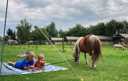Recreatiepark de Bosrand