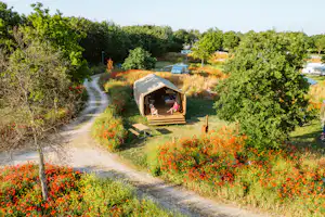 Vakantiepark De Klepperstee Recreatiepark De Klepperstee - Luftaufnahme eines Mobilheims umgeben von Bäumen und Wildblumen