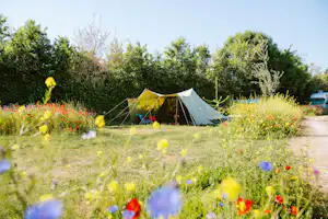 Vakantiepark De Klepperstee Recreatiepark De Klepperstee - Zeltplatz umgeben von Wildblumen