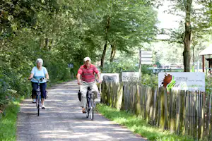 Zwei Radfahrer fahren auf einem Campingweg zwischen Bäumen, rechts ein Holzzaun und Schilder am Eingang.