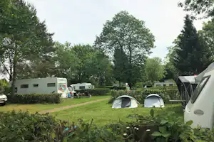 Recreatiepark Kasteel Ooijen - Wohnwagen- und Zeltstellplatz auf grüner Wiese