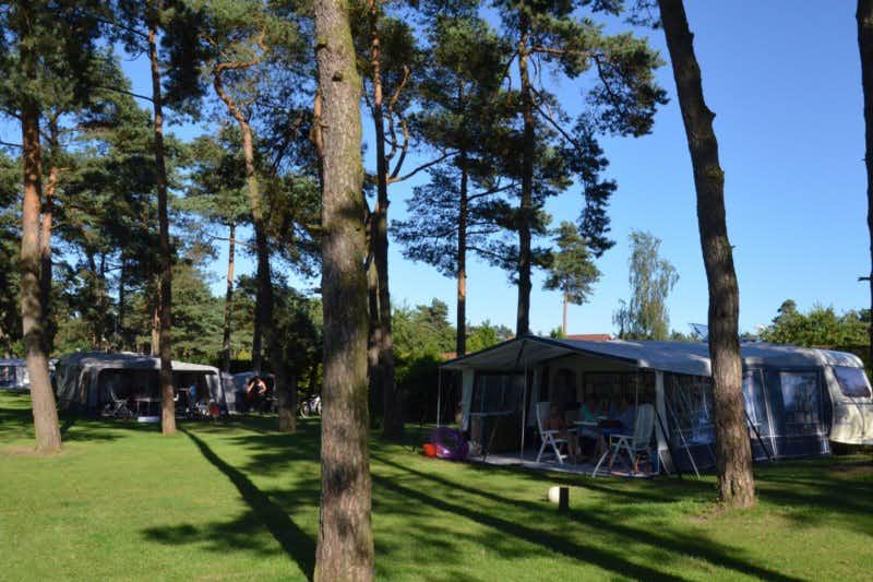 Recreatiepark Samoza -  Wohnwagen- und Zeltstellplatz zwischen Bäumen