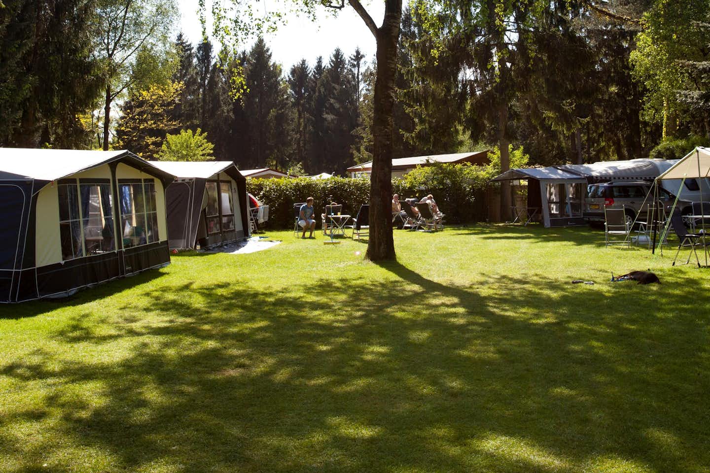 Recreatiepark ‘t Gelloo in Ede -  Wohnwagenstellplätze im Grünen auf dem Campingplatz