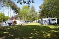 Recreatiepark ‘t Gelloo in Ede - Zelt- und Wohnwagenstellplätze im Grünen auf dem Campingplatz