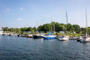 Segelyachten im Hafen am See, viele Boote nebeneinander an den Stegen, im Hintergrund Bäume und Fahrzeuge.