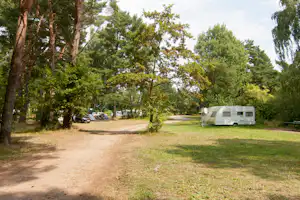 Regenbogen Born - Wohnwagen- und Zeltstellplatz vom Campingplatz im Grünen