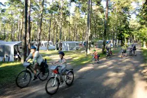 Regenbogen Nonnevitz - Spazierweg im Wald zwischen Wohnwagen und Mobilheimen auf dem Campingplatz