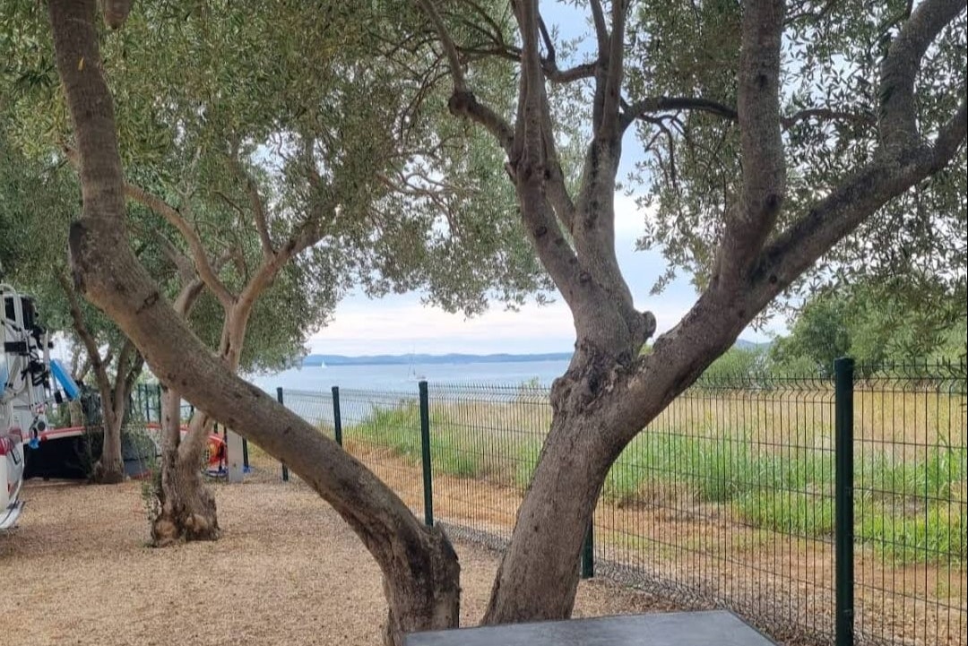 Relax Camp - Standplätze auf dem Campingplatz