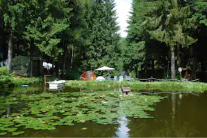 Rennsteig-Caravaning Valentinsteich - Blick über den Valentinsteich auf den Campingplatz unter Bäumen