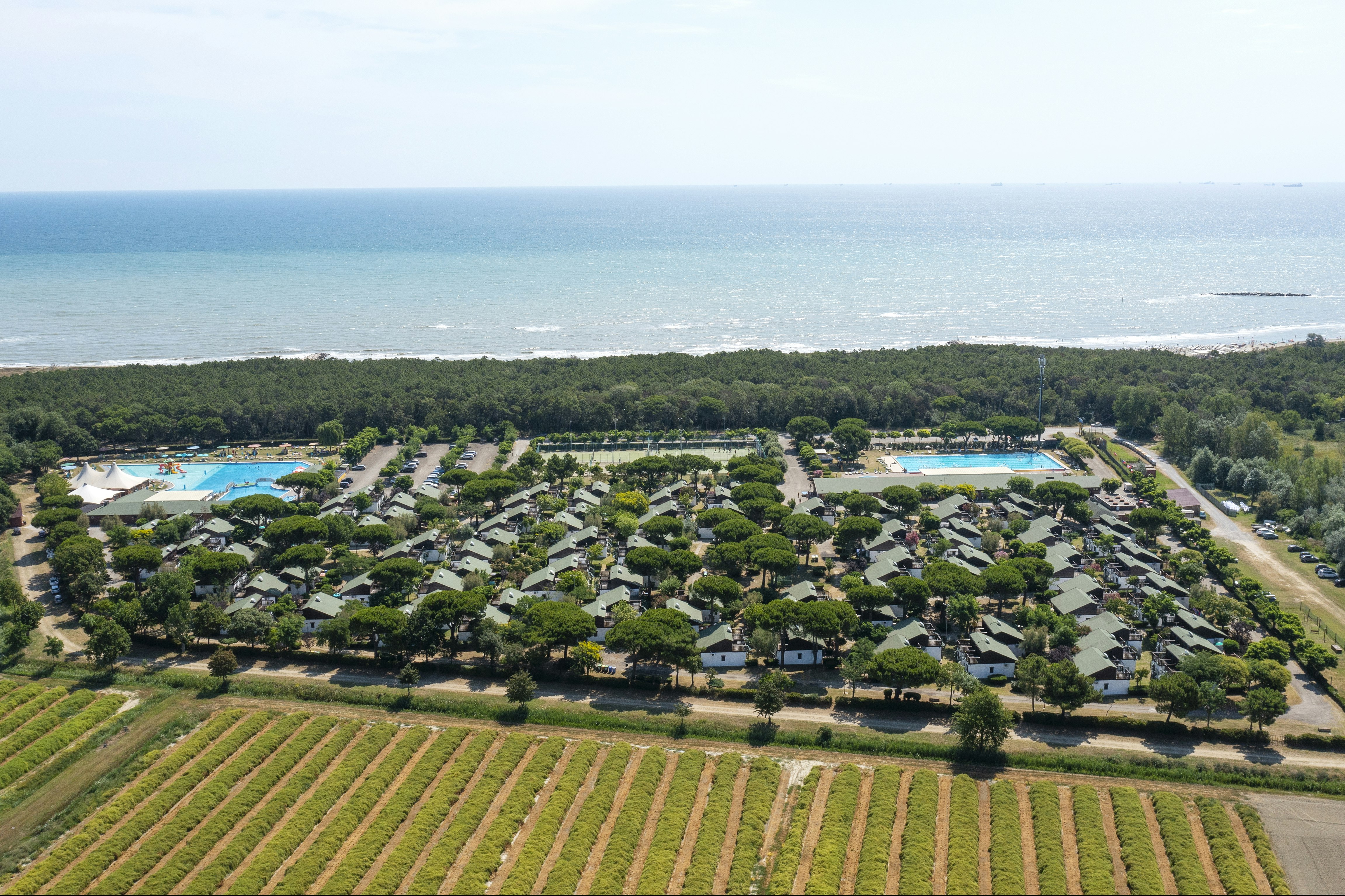 Residence Mare Pineta