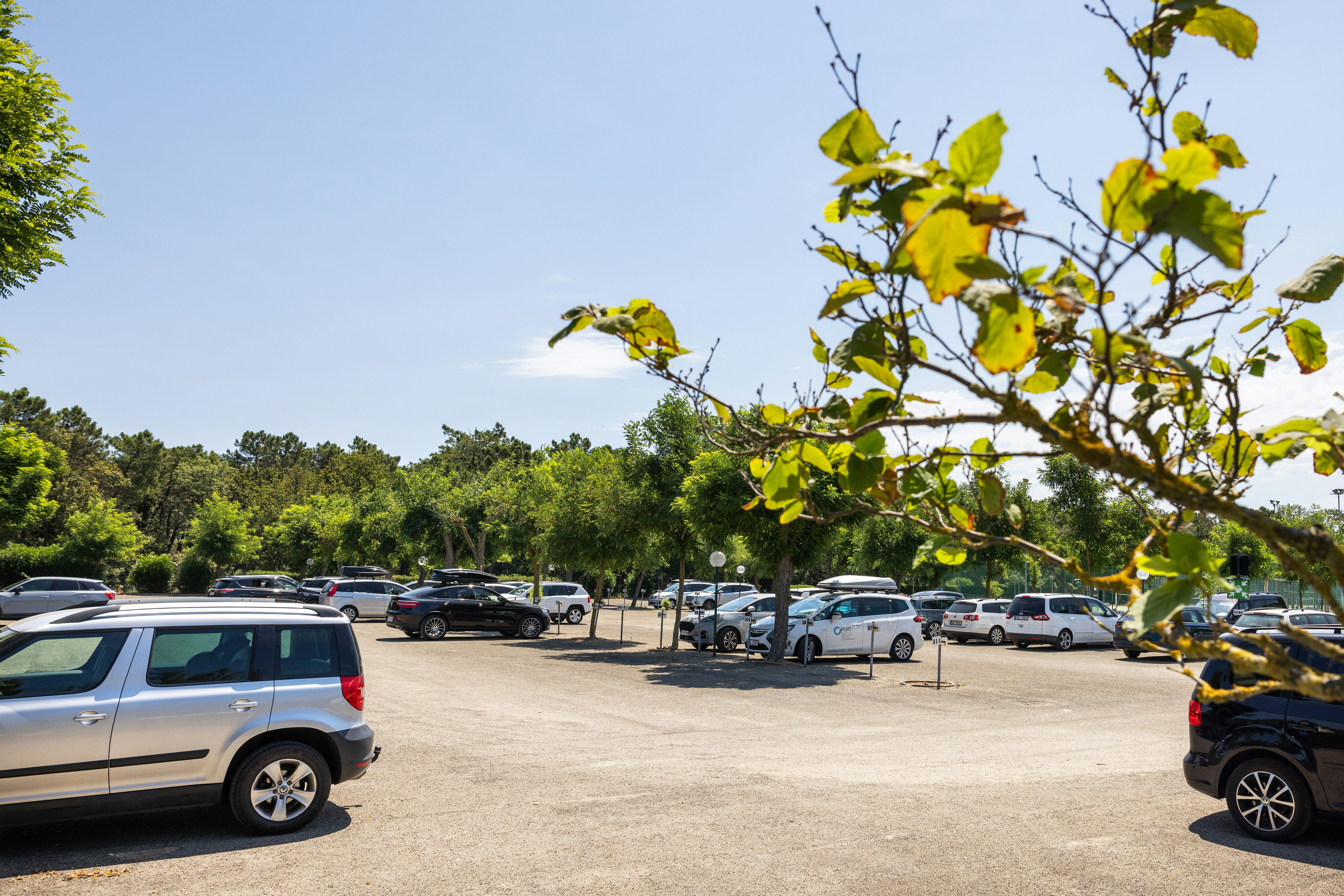 Residence Mare Pineta - Parkplätze auf dem Campingplatz