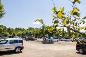 Residence Mare Pineta - Parkplätze auf dem Campingplatz