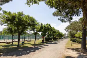 Residence Mare Pineta - Standplätze auf dem Campingplatz