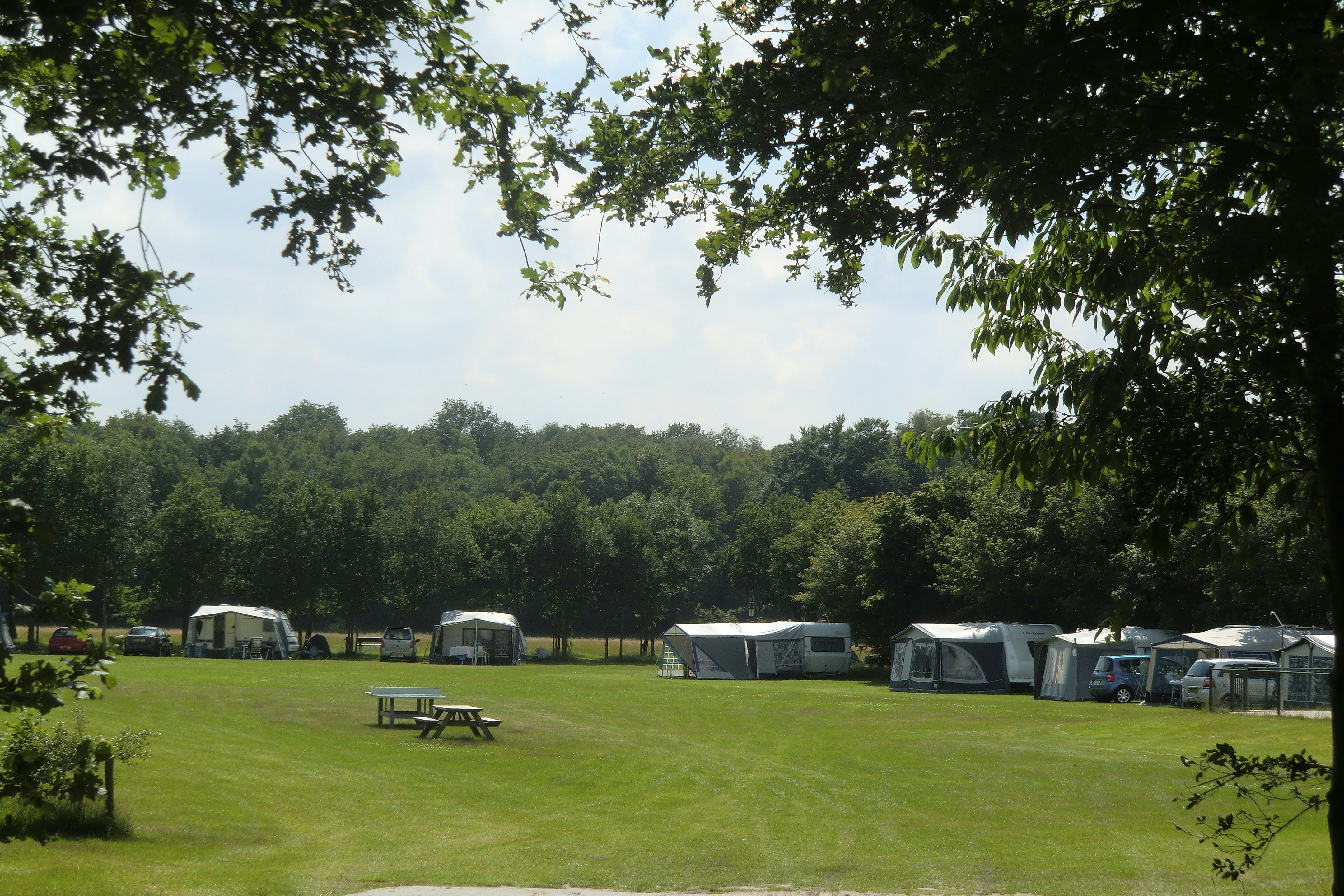 Resort De Arendshorst - Wohnwagen- und Zeltstellplatz mit Picknicktisch und Tischtennisplatte im Vordergrund