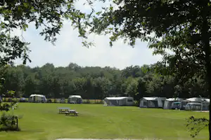 Campingplatz mit Wohnwagen und Zelten auf einer Wiese, umgeben von Bäumen und Autos am Rand.
