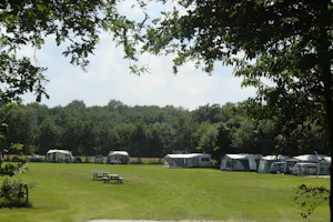 Resort De Arendshorst - Wohnwagen- und Zeltstellplatz mit Picknicktisch und Tischtennisplatte im Vordergrund