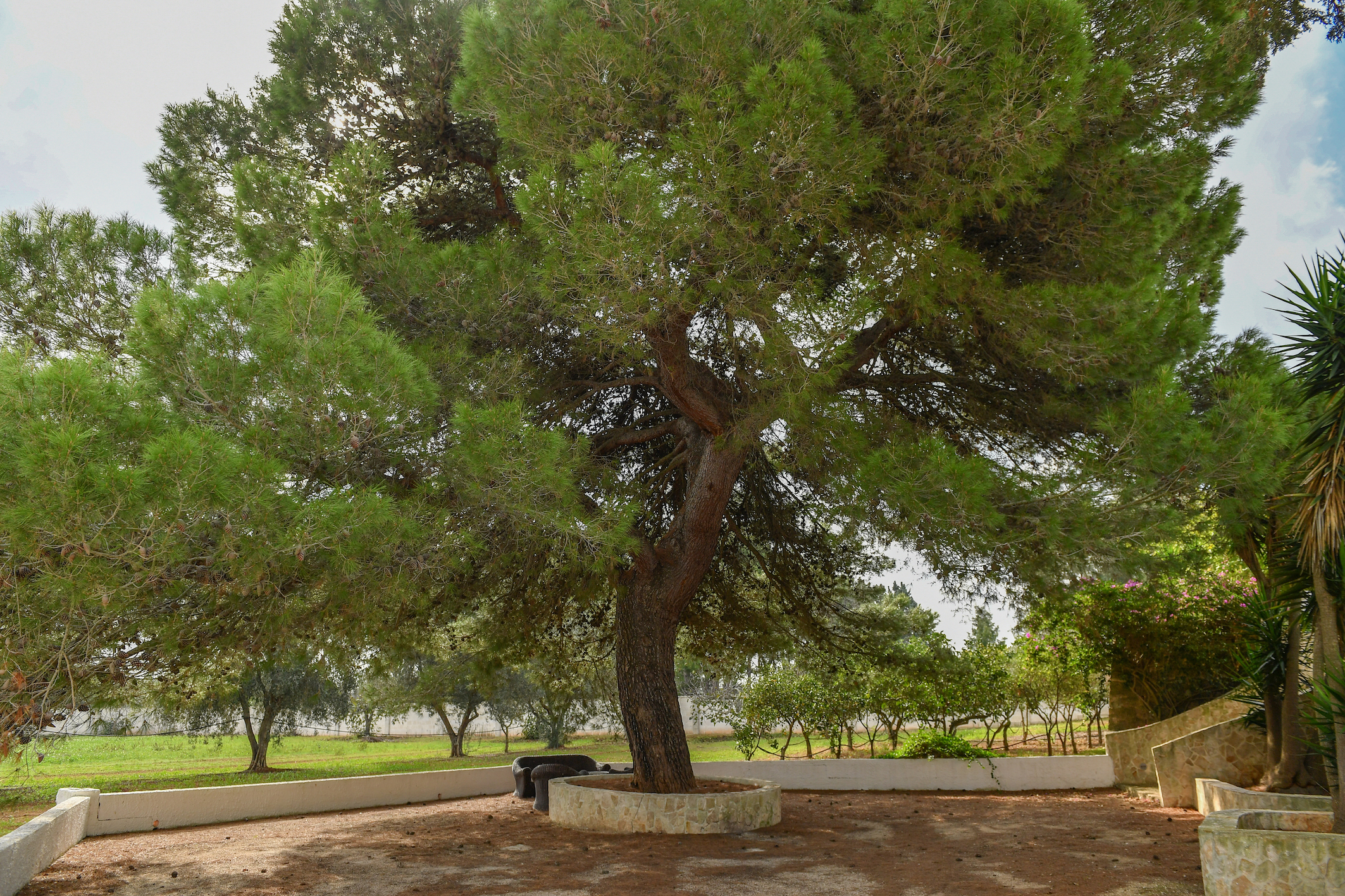 Resort Naturista Grottamiranda