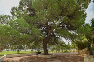 Resort Naturista Grottamiranda