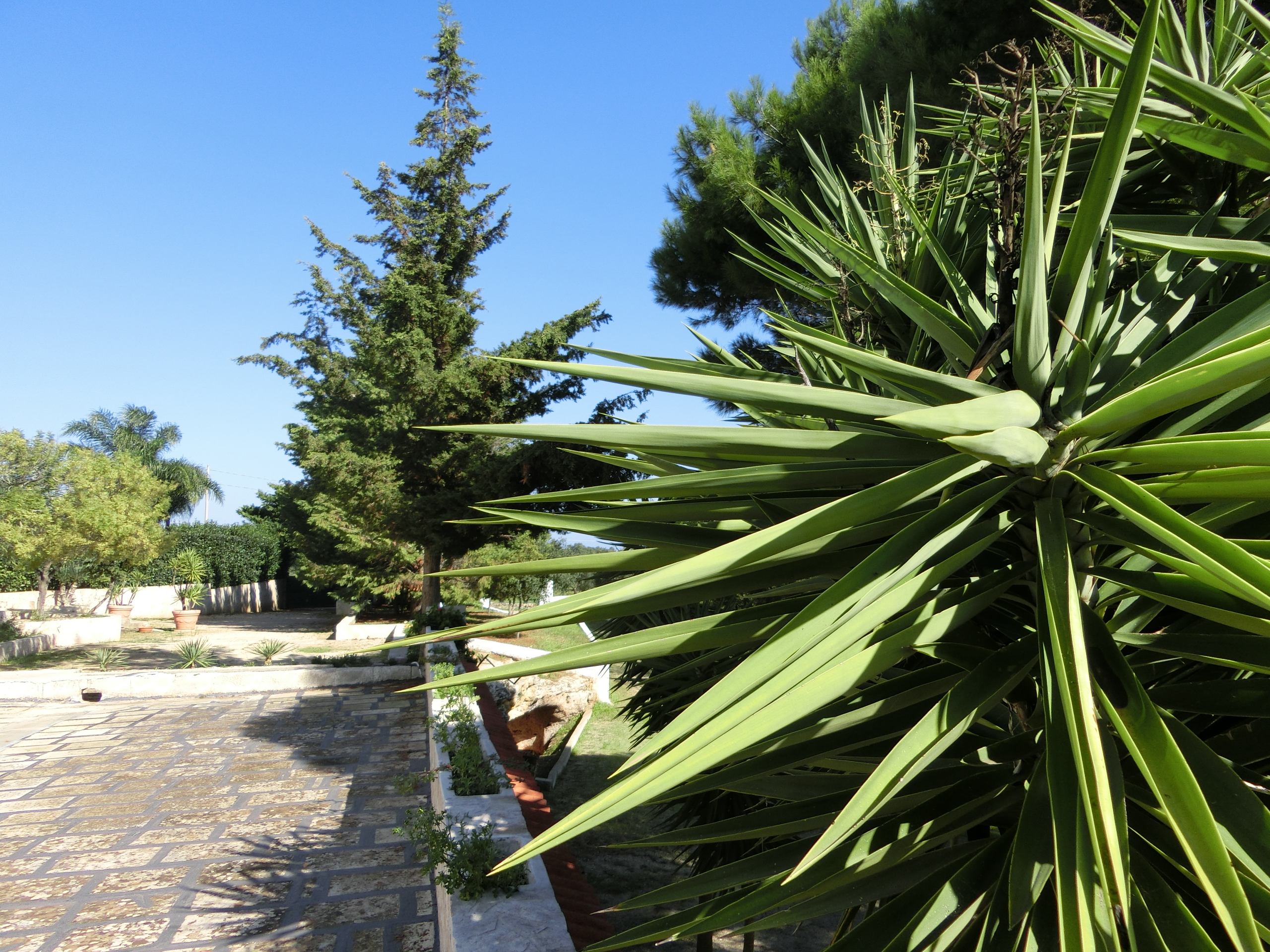 Resort Naturista Grottamiranda