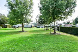 Rhein-Camping - Zeltwiese