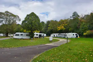 Wohnwagen auf einer grünen Campingwiese, dazwischen ein Weg und Hecken, im Hintergrund Bäume.