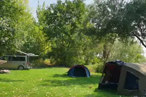 Zelt und Wohnmobil-Van auf einer grünen Wiese, umgeben von Bäumen auf dem Campingplatz.