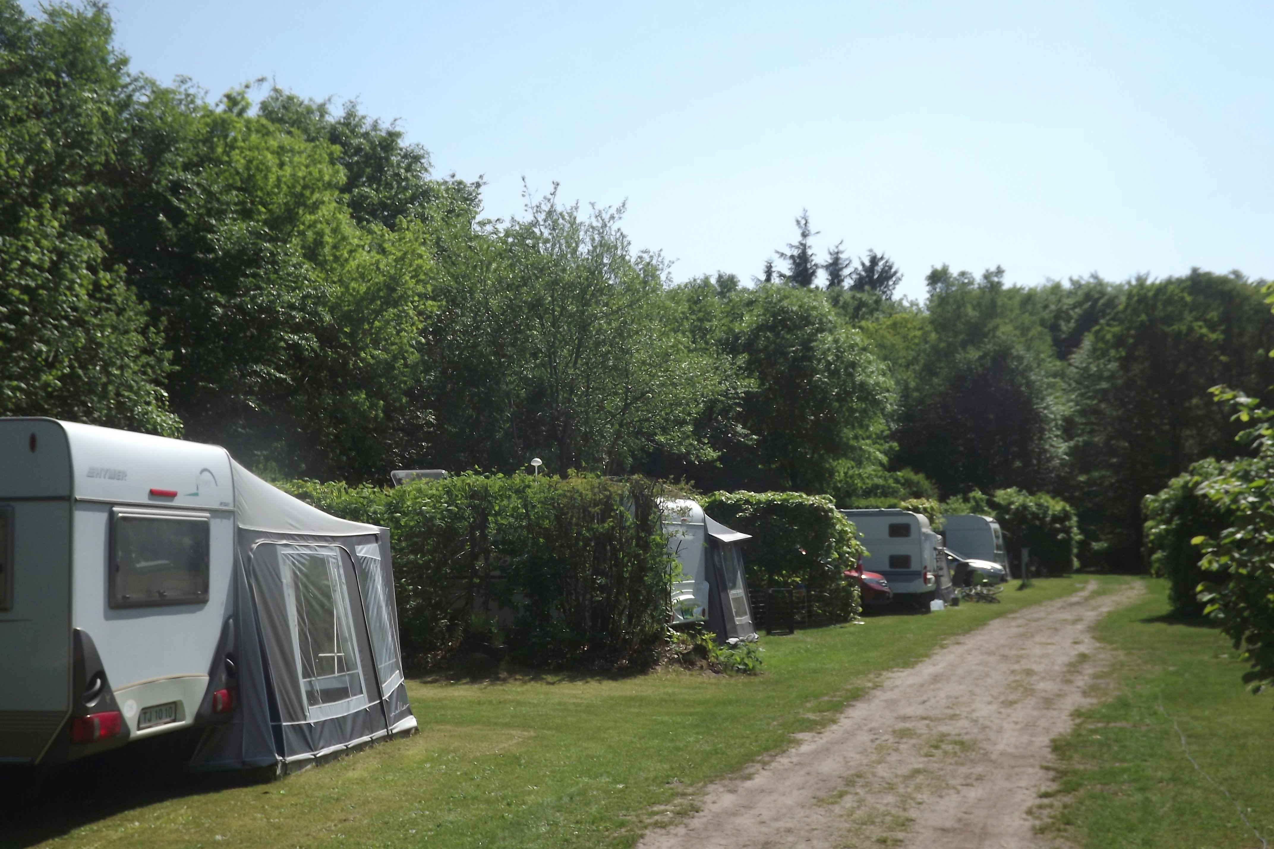 Ringkøbing Camping  -  Wohnwagen- und Zeltstellplatz auf dem Campingplatz