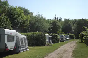 Ringkøbing Camping - Wohnwagen- und Zeltstellplatz auf dem Campingplatz