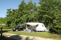 Ringkøbing Camping  -  Wohnwagen- und Zeltstellplatz auf grüner Wiese auf dem Campingplatz