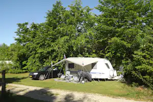 Ringkøbing Camping - Wohnwagen- und Zeltstellplatz auf grüner Wiese auf dem Campingplatz