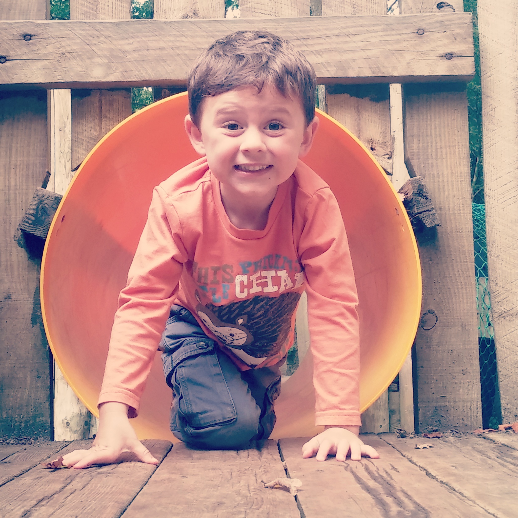 River Dart Country Park