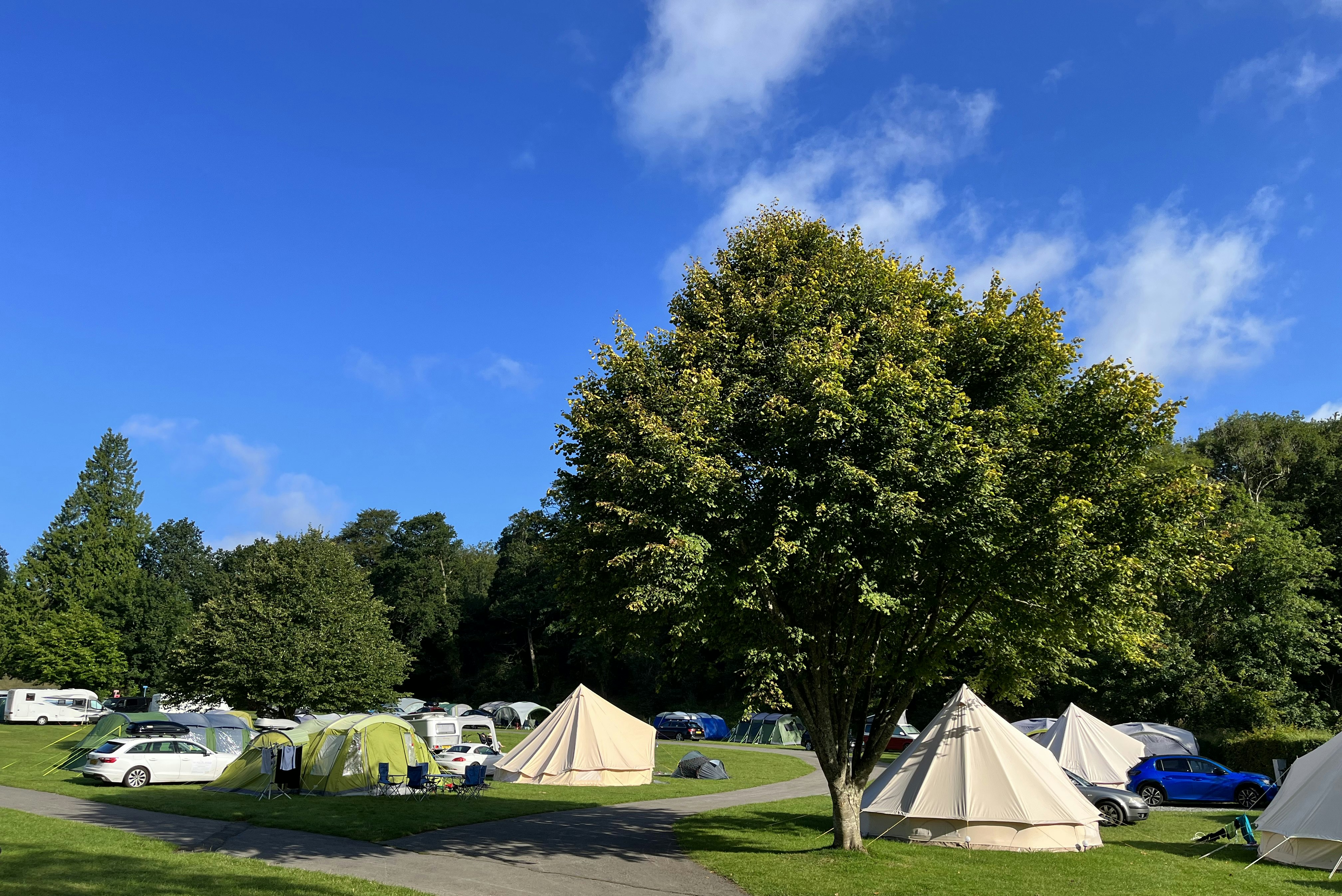 River Dart Country Park - Zeltwiese auf dem Campingplatz