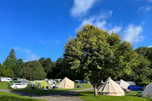 River Dart Country Park - Zeltwiese auf dem Campingplatz